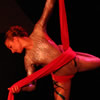Pole Addiction and Aerial Dragonfly