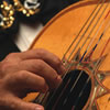 Mariachi & Sons