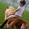 A Pony To Go