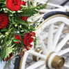 Breckenridge carriage