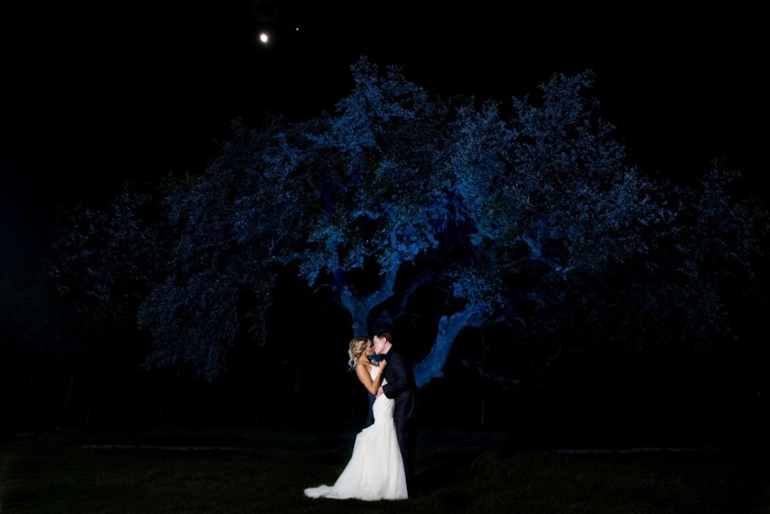 Nicole Woods Photography — request a quote