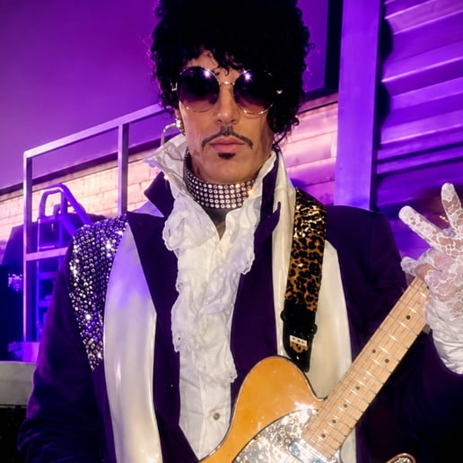 Gallery photo 5 of 1999 The Legacy of Prince
