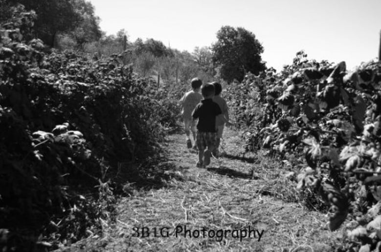 Gallery photo 2 of 3b1gPhotography