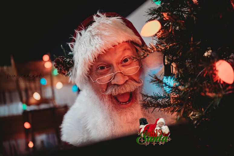 Gallery photo 6 of 419 Santa