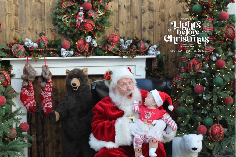 Gallery photo 7 of 419 Santa