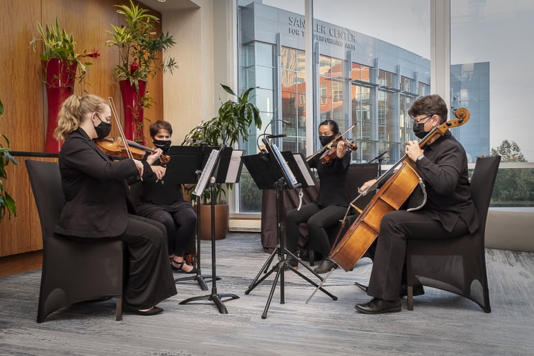 Gallery photo 1 of 757 Strings