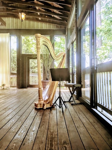 Gallery photo 1 of Erin Hansen Janke, harpist