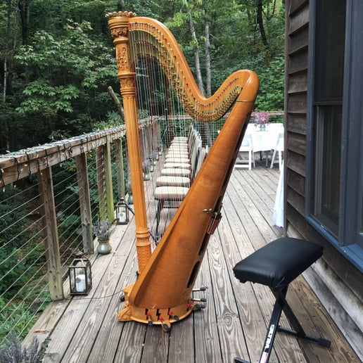 Gallery photo 3 of Erin Hansen Janke, harpist