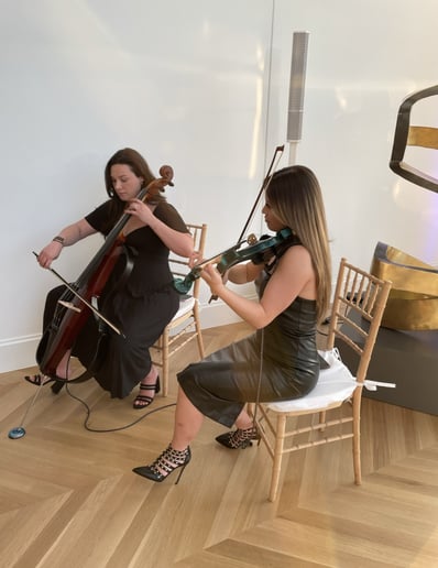Gallery photo 6 of 7th House Strings
