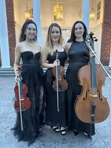 Gallery photo 4 of 7th House Strings