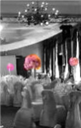Gallery photo 1 of A and A event planning