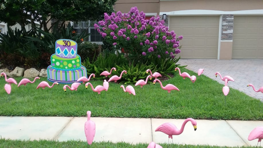Gallery photo 1 of The Stork Report