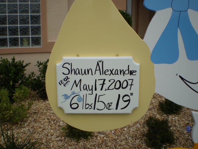 Gallery photo 4 of The Stork Report
