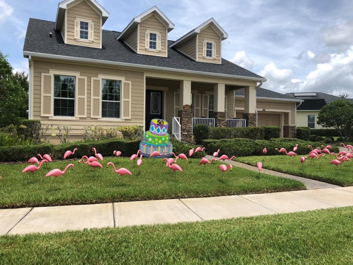 Gallery photo 6 of The Stork Report