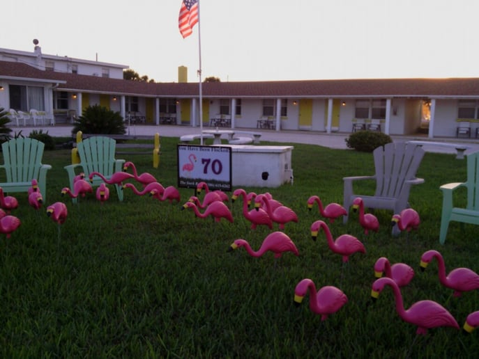 Gallery photo 9 of The Stork Report
