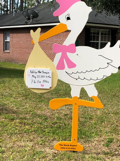 Gallery photo 10 of The Stork Report
