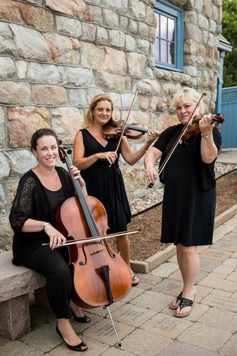 Gallery photo 3 of Classy Strings