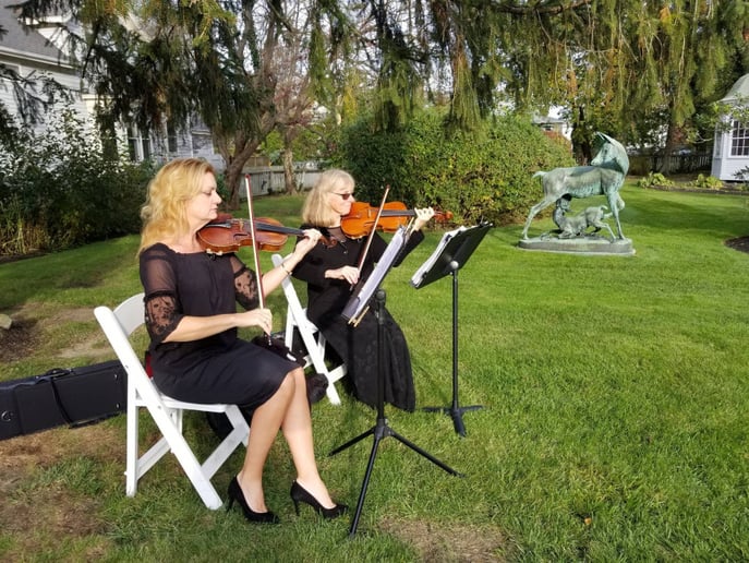 Gallery photo 6 of Classy Strings
