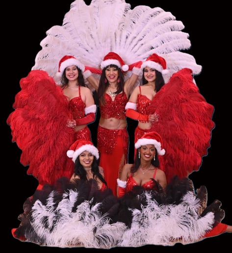 Gallery photo 4 of Authentic Belly Dancing Entertainment: Harem Jewels of Dallas