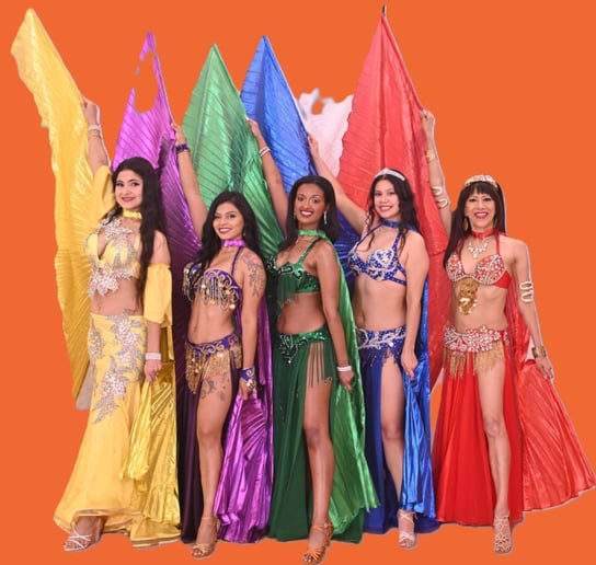 Gallery photo 1 of Authentic Belly Dancing Entertainment: Harem Jewels of Dallas