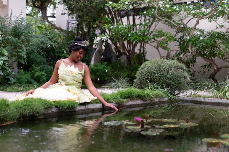 Gallery photo 10 of A Fairy Tale Come True
