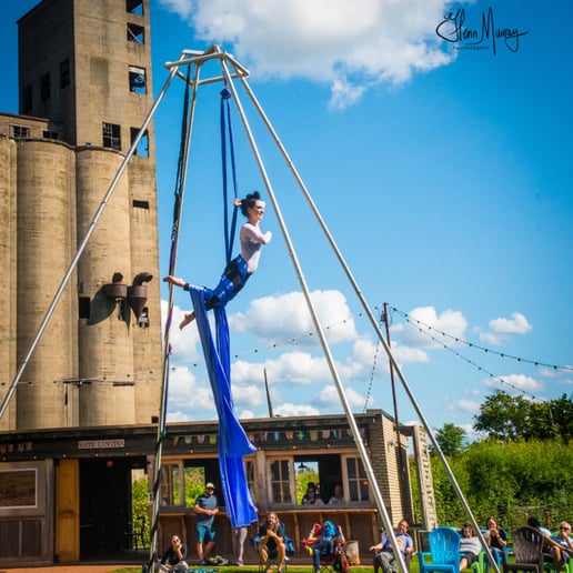 Gallery photo 3 of Buffalo Aerial Dance