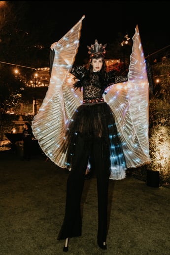 Gallery photo 8 of Mistic Dream Entertainment