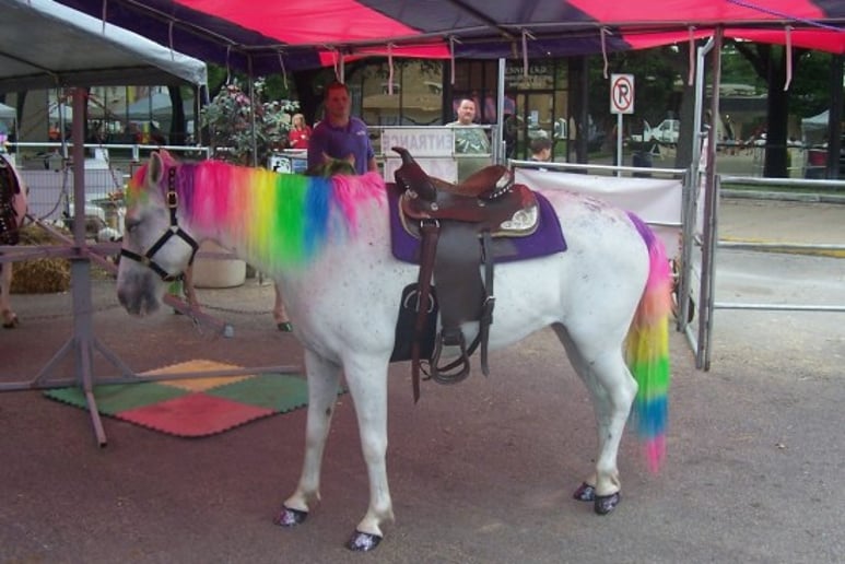 Gallery photo 1 of A One Of A Kind Pony Party