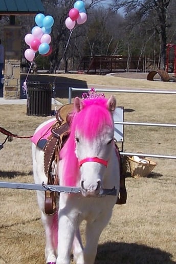 Gallery photo 8 of A One Of A Kind Pony Party