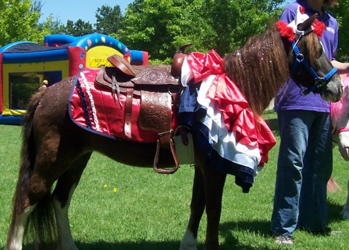 Gallery photo 10 of A One Of A Kind Pony Party