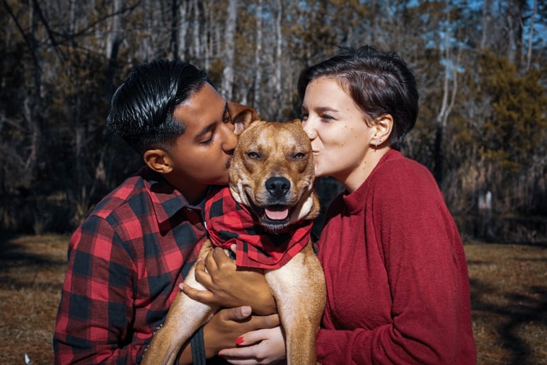 Gallery photo 5 of A Shining Light Photography LLC