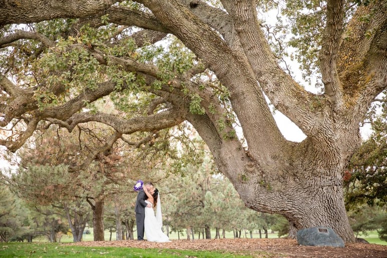 Gallery photo 1 of A Tale Ahead Photography