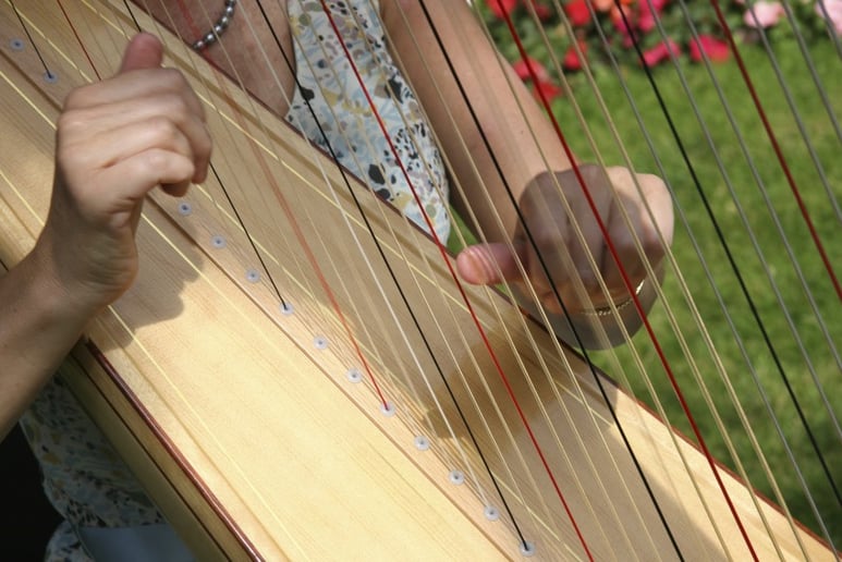 Gallery photo 1 of A Touch of Class Music
