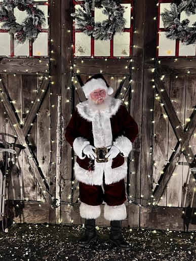 Gallery photo 14 of A True Christmas Experience Santa