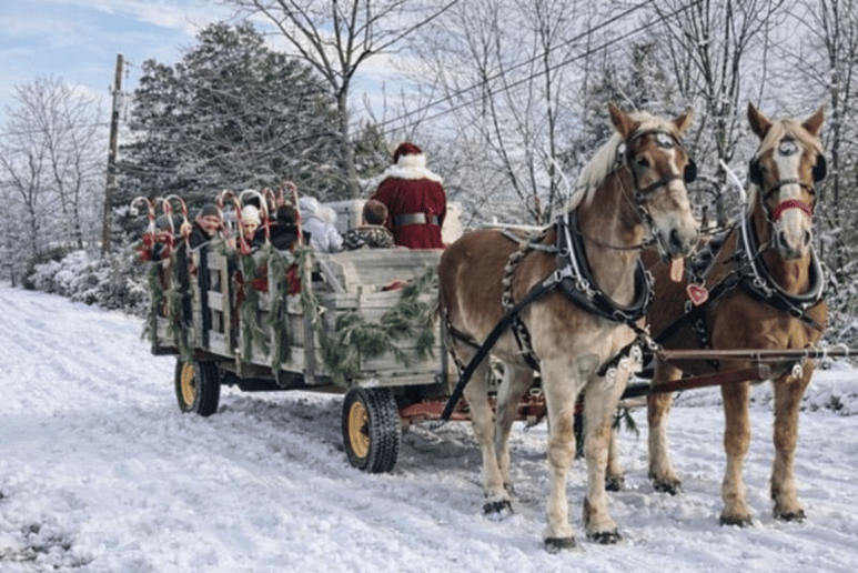 Gallery photo 3 of A True Christmas Experience Santa
