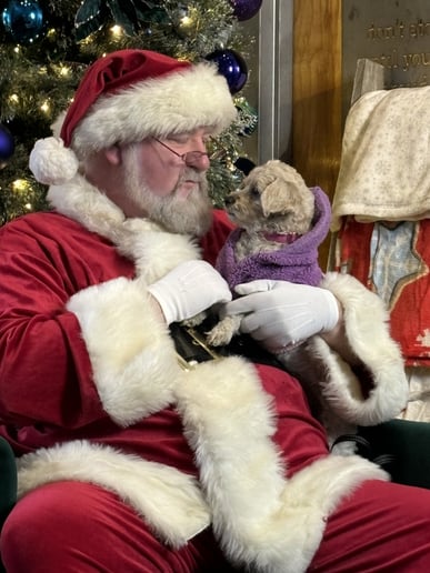 Gallery photo 2 of A Visit From Father Christmas