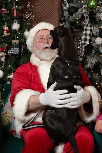 Gallery photo 4 of A Visit From Father Christmas