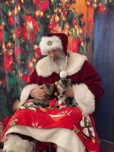 Gallery photo 4 of A Well Seasoned Santa