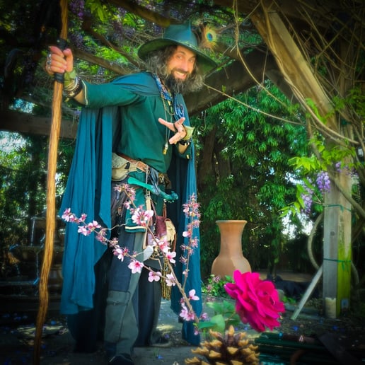 Gallery photo 5 of Aaron the Green, Elven Wizard
