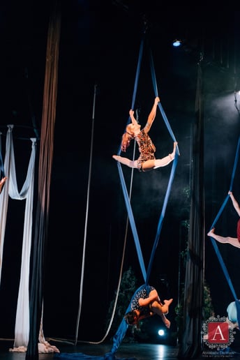 Gallery photo 1 of Acro Abbie