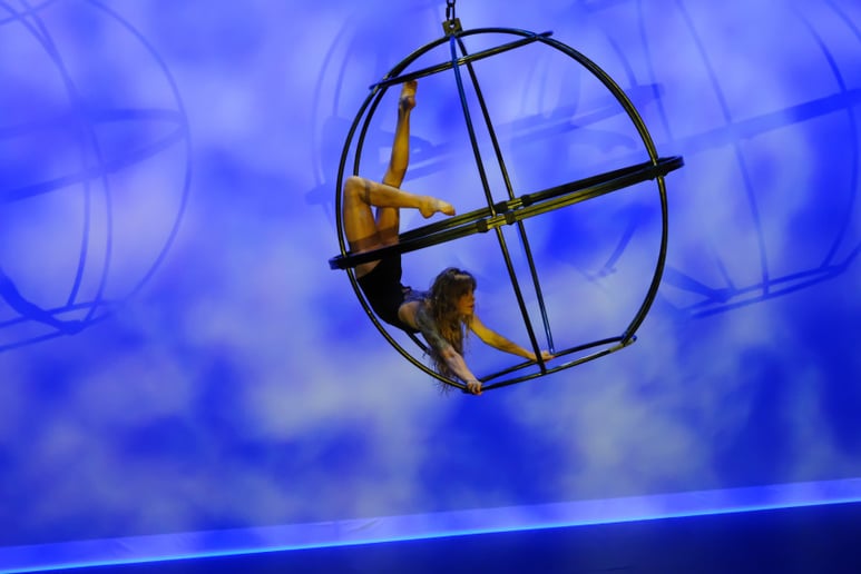 Gallery photo 3 of Acro Abbie