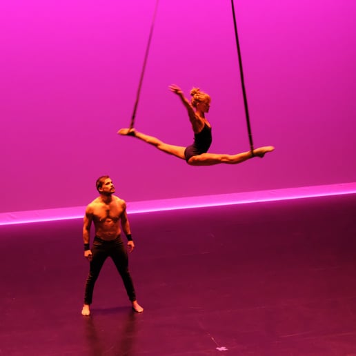 Gallery photo 6 of Acro Abbie