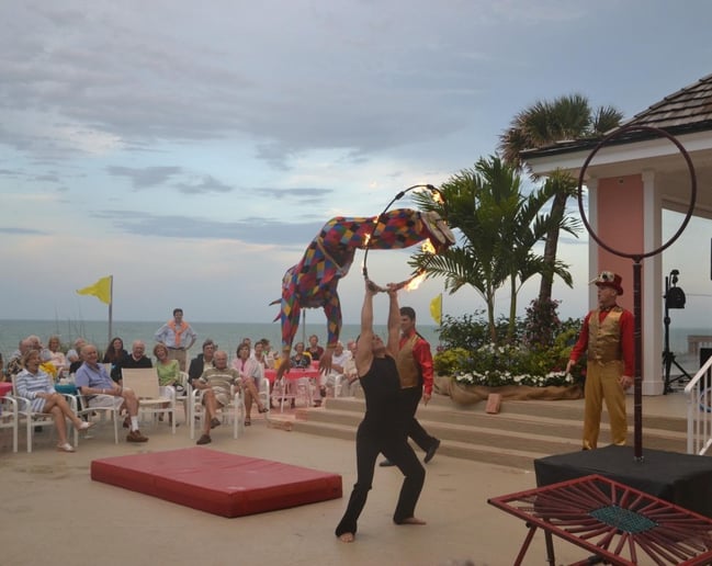 Gallery photo 8 of ABC Circus