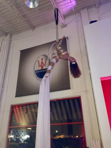 Gallery photo 5 of ABC Circus