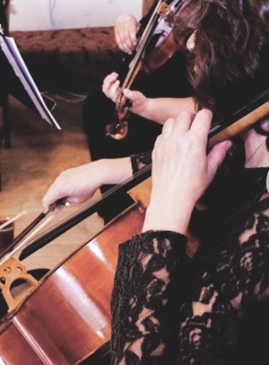 Gallery photo 1 of Abellimenti Strings