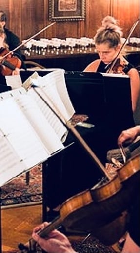 Gallery photo 6 of Abellimenti Strings