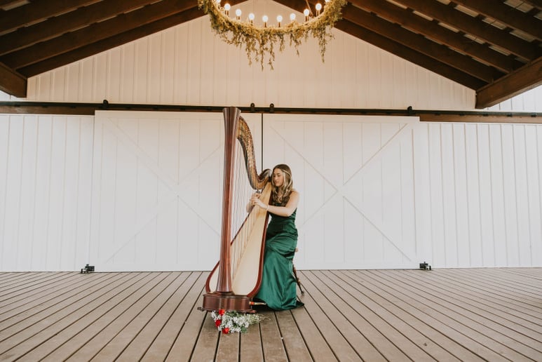 Gallery photo 2 of Abigail McLean, Harpist