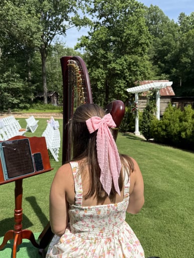 Gallery photo 1 of Abigail McLean, Harpist