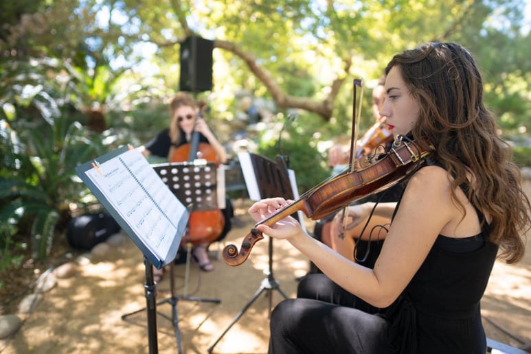 Gallery photo 7 of Abigail Shelton Violin
