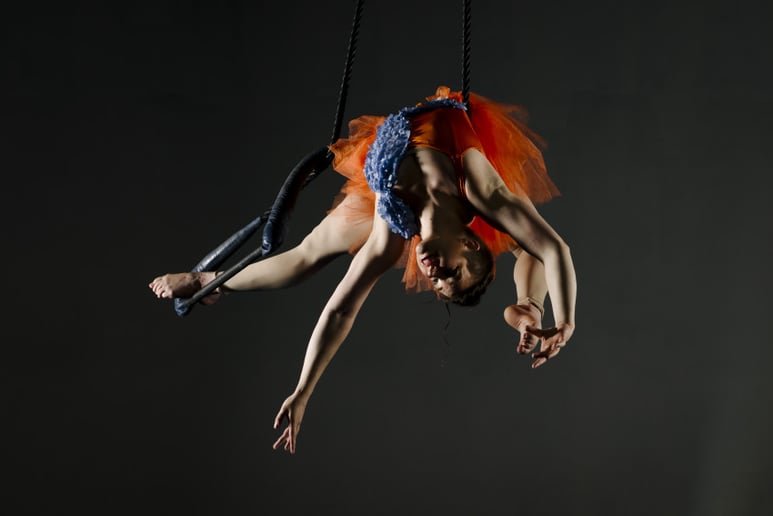 Gallery photo 9 of Abs On Steel
